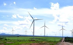 Vì sao nhiều dự án điện gió ở Tây Nguyên bị 'sa lầy'?