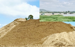 Quảng Ngãi: Sở TNMT đưa ra giải pháp, lộ trình hạ nhiệt cho cát 
