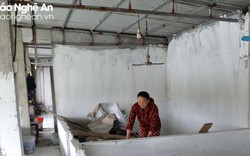 Nghệ An: Sau 3 năm, người chăn nuôi vẫn "dài cổ" chờ tiền hỗ trợ tiêu hủy gia súc do dịch bệnh