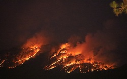 Nóng: Cháy lớn rừng thông TP.Đà Lạt khu vực đèo Prenn