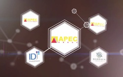 Cổ phiếu hệ sinh thái Apec Group bất ngờ thăng hoa: Soi tiềm lực của API, APS, IDJ 