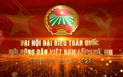 ĐẠI HỘI HỘI NÔNG DÂN VIỆT NAM LẦN VIII: Nhiều địa phương đẩy nhanh công tác thực hiện Đại hội