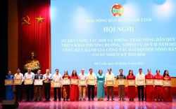 Hà Nội: 20.900 hộ nông dân Mê Linh đăng ký sản xuất, kinh doanh giỏi