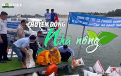 Chuyển động Nhà nông 9/4: Hàng chục triệu con giống thủy sản được thả về môi trường tự nhiên