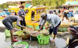 Cần thêm nhiều hỗ trợ thiết thực giúp ngư dân Việt Nam bám biển, gỡ thẻ vàng IUU