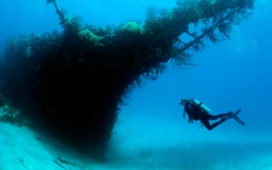 Những bí ẩn quanh Bermuda, nơi 50 con tàu và 20 máy bay mất tích