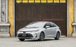 Doanh nhân trẻ thích chọn Toyota Corolla Altis