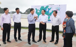 Phó Thủ tướng Trần Lưu Quang làm việc với tỉnh Quảng Ninh về phát triển khu công nghiệp và vùng đệm vịnh Hạ Long