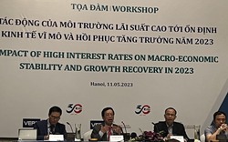 Môi trường lãi suất cao ảnh hưởng nặng và mạnh đến năng lực cạnh tranh của Việt Nam