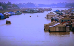 Sắp có làng bè độc nhất ở miền Tây