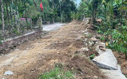 Vùng đất này của tỉnh Quảng Nam, nông dân tự nguyện chặt cây, hiến cả ngàn mét đất để làm đường 