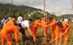 Lai Châu: Mường Tè phát động “Tết trồng cây đời đời nhớ ơn Bác Hồ”