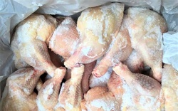 Mỗi tháng có hàng chục nghìn tấn gà thải loại nhập lậu vào Việt Nam