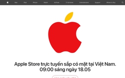 Trước ngày Apple Store ra mắt, lượng iPhone nhập về Việt Nam khan hiếm, có hay không chuyện hãng "vừa đá bóng, vừa thổi còi"