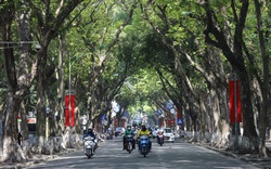 Những con đường "giải nhiệt" nắng nóng như đổ lửa ở Hà Nội