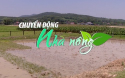 Chuyển động Nhà nông 2/5: Vẫn có nguy cơ khô hạn trong vụ Hè Thu ở Trung Bộ