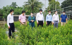 Giúp hội viên nông dân Hà Nội đồng thuận trong công tác giải phóng mặt bằng