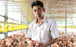 Ông nông dân mơ trứng gà VietGAP đầu tiên của Phú Bình thành thực phẩm "hot" của Thái Nguyên