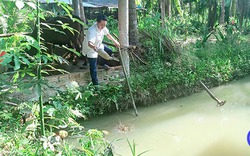 Chuyện lạ Tiền Giang, nuôi sâu để bắt sâu nuôi cá, nông dân khá lên