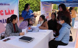 Thái Nguyên: Triển khai hỗ trợ việc làm bền vững cho từng người nghèo 