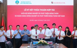 Agribank đẩy mạnh triển khai chính sách tín dụng nông nghiệp, nông thôn