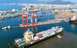 Cảng Quy Nhơn: Lên kế hoạch lãi tăng 98% trong năm 2023, kiên trì niêm yết cổ phiếu QNP trên HoSE