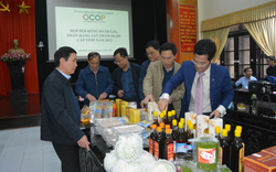 Sản phẩm OCOP Nam Định xuất ngoại (bài cuối): Nâng chất lượng phục vụ thị trường trong nước, xuất khẩu