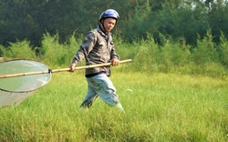 Hai vợ chồng 2 vợt, vượt 150km săn "giặc cỏ" kiếm tiền triệu