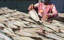 Cá khô, cá hộp trở thành "ngôi sao sáng" trong xuất khẩu