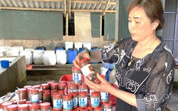 Sản phẩm OCOP từ biển
