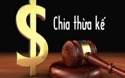 Khởi kiện chia thừa kế di sản bố mẹ để lại được không?