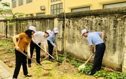 Bắc Ninh: Hội Nông dân thành phố Từ Sơn phát động trồng Hàng cây nông dân