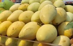 Hàn Quốc thích một loại trái cây của Việt Nam nhưng doanh nghiệp xuất khẩu phải đặc biệt chú ý điều này