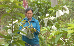 Nông thôn mới Can Hồ của Lai Châu, dễ làm trước, khó làm sau, đường làng, bản đẹp thế này đây