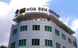 Tập đoàn Hoa Sen (HSG): Sau soát xét lỗ hơn 420 tỷ đồng trong 6 tháng đầu niên độ
