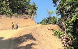Quảng Ngãi: Sẽ làm việc với Tập đoàn Đèo Cả về hơn 7.500 m2 rừng Kfw6 bị hạ trái phép 