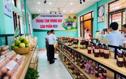 TT-Huế: Ra mắt trung tâm trưng bày và bán sản pẩm OCOP tại huyện Phú Vang
