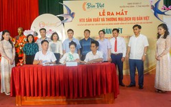 Ra mắt Hợp tác xã Sản xuất và Thương mại dịch vụ Bản Việt tại tỉnh Thái Nguyên