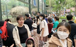 Gỡ "nút thắt" giá vé máy bay để thu hút người Việt đi du lịch Việt