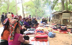 Lễ Đông Sửa của người Thái Đen ở Sơn La tổ chức tại rừng thiêng, vừa cúng lễ vừa đua tài độc đáo