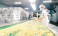  Một loại hạt được nhập khẩu ồ ạt, ngành hàng Việt Nam đang dẫn đầu toàn cầu về xuất khẩu bị ảnh hưởng