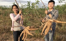 Việt Nam bất ngờ mua gần hết một loại nông sản tươi của Campuchia