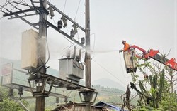 Điện Biên: Yêu cầu giảm 50% số lượng đèn chiếu sáng công cộng