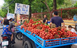 Vải thiều nhuộm đỏ chợ Sài Gòn, giá chỉ 30.000 đồng/kg