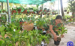 Trồng 500 chậu lan vô vàn màu sắc, ai ngờ một chị nông dân Tiền Giang khá giả, cả làng ủng hộ rần rần 