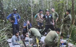 Bí mật khiến 4 đứa trẻ sống sót trong rừng rậm Amazon sau 40 ngày rơi máy bay