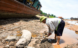 Cảnh đi bộ ra giữa sông Đà để mò tìm... "cổ vật"