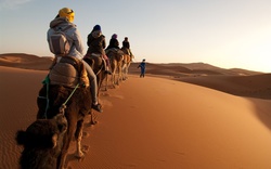 Những sự thật cực kỳ thú vị về sa mạc Sahara ít ai biết