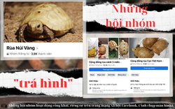 Mánh khóe lách luật buôn bán công khai loài động vật  nguy cấp ở Việt Nam