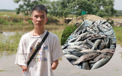 Gặp sự cố mất điện, hồ cá của chàng trai Hà Tĩnh chết hàng loạt, thiệt hại gần 200 triệu đồng 